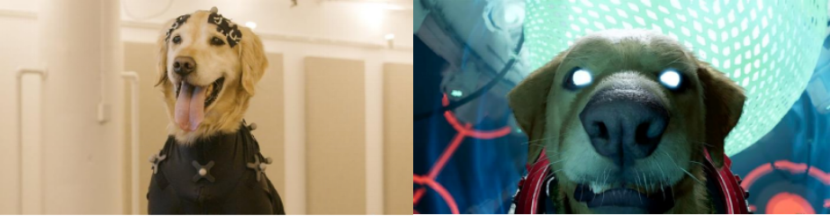 非凡国际·(中国游)体育官方网站