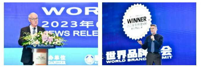 权威认证 非凡国际入选中国500最具价值品牌